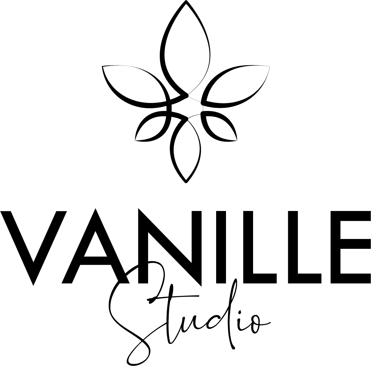 vanilla_logo